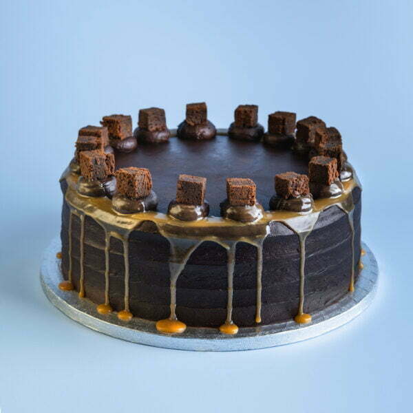 chocolate cake with brownies and fudge