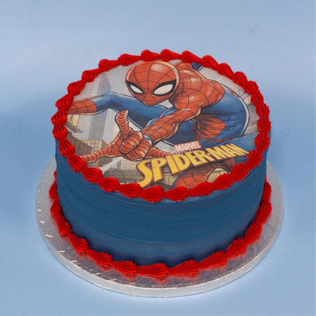 Spiderman Party Cake